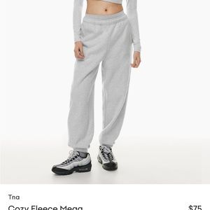 Tna sweatpants Aritiza